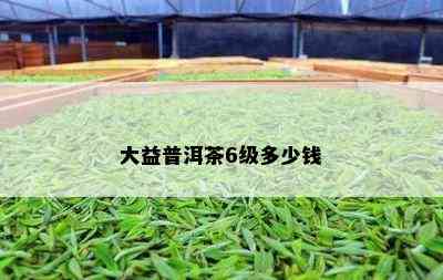 大益普洱茶6级多少钱