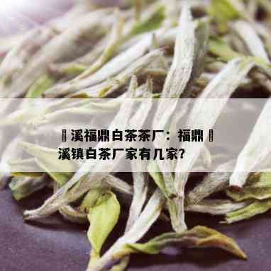 磻溪福鼎白茶茶厂：福鼎磻溪镇白茶厂家有几家？