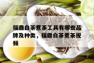 福鼎白茶煮茶工具有哪些品牌及种类，福鼎白茶煮茶视频