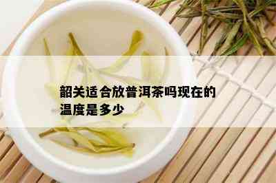 韶关适合放普洱茶吗现在的温度是多少