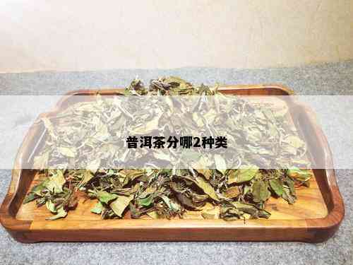 普洱茶分哪2种类