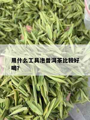 用什么工具泡普洱茶比较好喝？