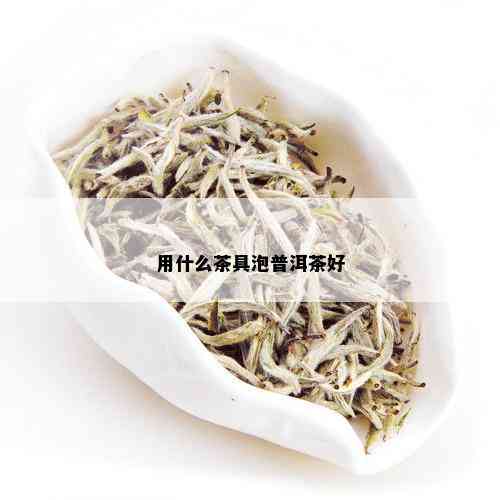 用什么茶具泡普洱茶好