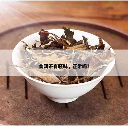 普洱茶有骚味，正常吗？