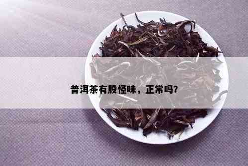 普洱茶有股怪味，正常吗？