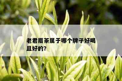 老君眉茶属于哪个牌子好喝且好的？