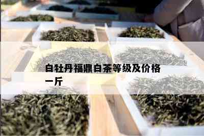 白牡丹福鼎白茶等级及价格一斤