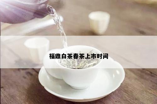 福鼎白茶春茶上市时间