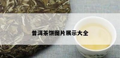 普洱茶饼图片展示大全