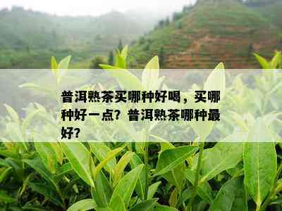 普洱熟茶买哪种好喝，买哪种好一点？普洱熟茶哪种更好？