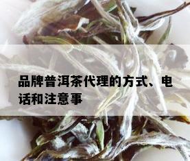 品牌普洱茶代理的方式、电话和注意事