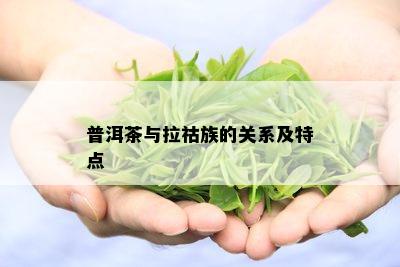 普洱茶与拉祜族的关系及特点