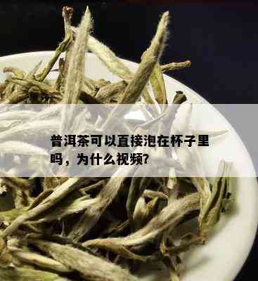 普洱茶可以直接泡在杯子里吗，为什么视频？