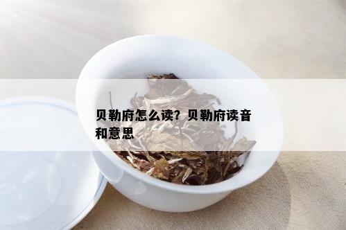 贝勒府怎么读？贝勒府读音和意思