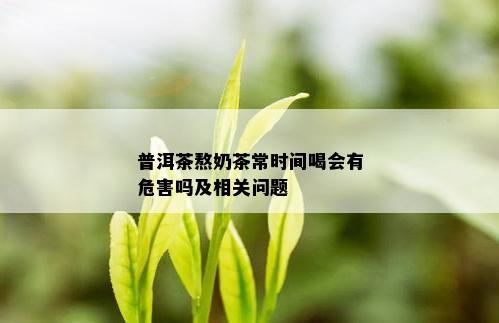 普洱茶熬奶茶常时间喝会有危害吗及相关问题