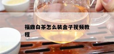 福鼎白茶怎么装盒子视频教程