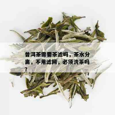 普洱茶需要茶滤吗，茶水分离，不用滤网，必须洗茶吗？