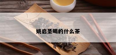 姚启圣喝的什么茶