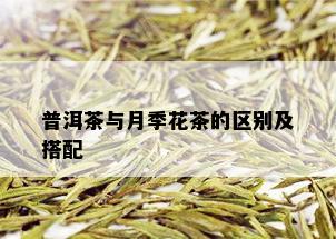 普洱茶与月季花茶的区别及搭配