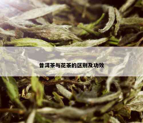 普洱茶与花茶的区别及功效