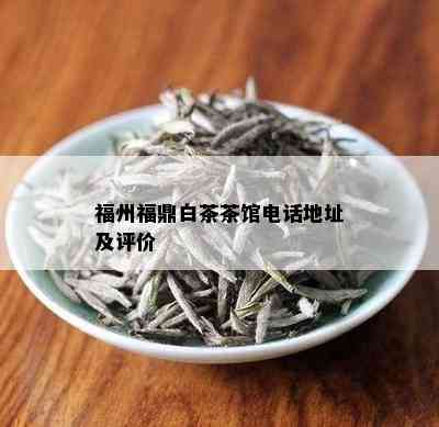 福州福鼎白茶茶馆电话地址及评价