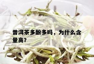 普洱茶多酚多吗，为什么含量高？