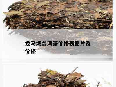 龙马塘普洱茶价格表图片及价格