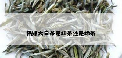 福鼎大白茶是红茶还是绿茶