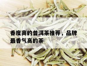 香度高的普洱茶推荐，品牌最香气高的茶