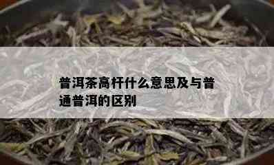 普洱茶高杆什么意思及与普通普洱的区别