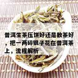 普洱生茶压饼好还是散茶好，把一两碎银子花在普洱茶上，流程解析