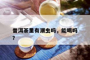 普洱茶里有潮虫吗，能喝吗？