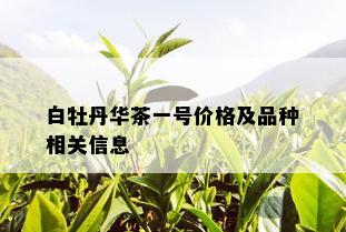 白牡丹华茶一号价格及品种相关信息