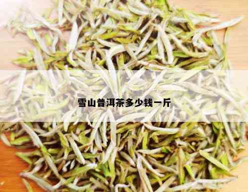 雪山普洱茶多少钱一斤