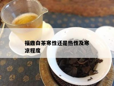 福鼎白茶寒性还是热性及寒凉程度