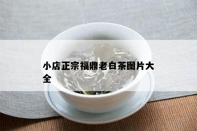 小店正宗福鼎老白茶图片大全