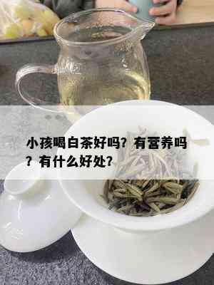 小孩喝白茶好吗？有营养吗？有什么好处？