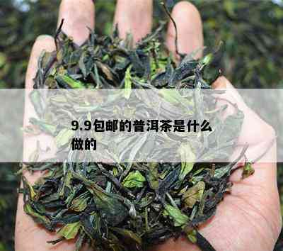 9.9包邮的普洱茶是什么做的