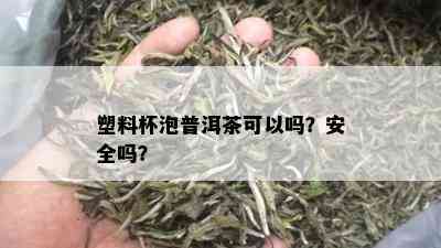 塑料杯泡普洱茶可以吗？安全吗？