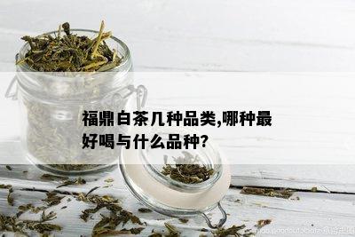 福鼎白茶几种品类,哪种更好喝与什么品种?