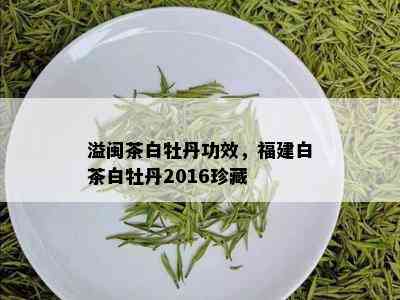 溢闽茶白牡丹功效，福建白茶白牡丹2016珍藏