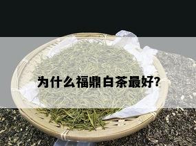 为什么福鼎白茶更好？