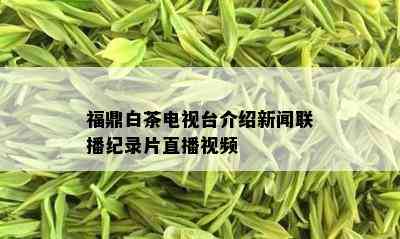 福鼎白茶电视台介绍新闻联播纪录片直播视频