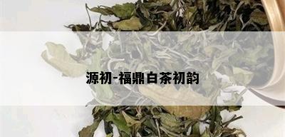 源初-福鼎白茶初韵