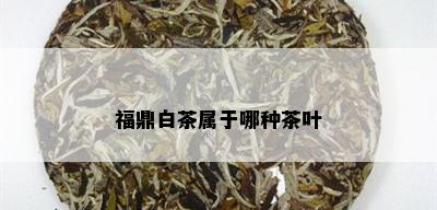 福鼎白茶属于哪种茶叶