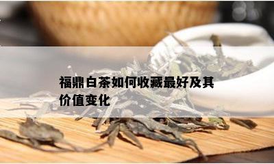 福鼎白茶如何收藏更好及其价值变化