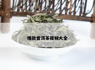 爆款普洱茶视频大全