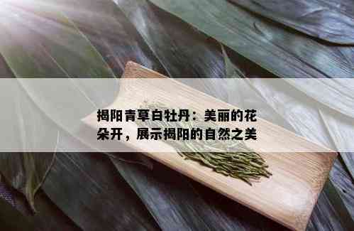 揭阳青草白牡丹：美丽的花朵开，展示揭阳的自然之美