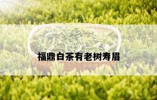 福鼎白茶有老树寿眉