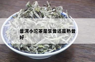 普洱小沱茶是生普还是熟普好